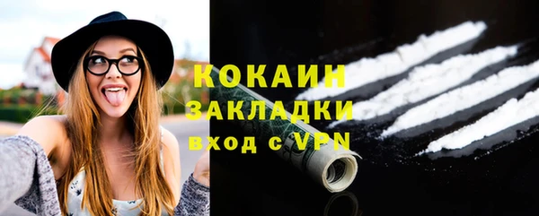 соль ск Козловка