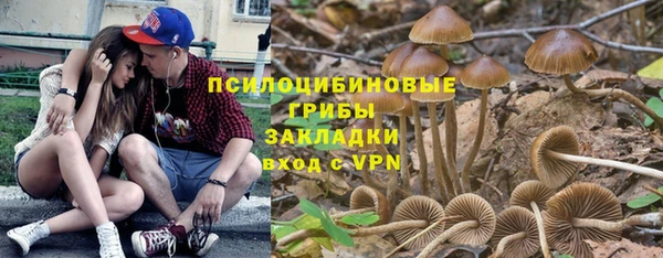 соль ск Костерёво