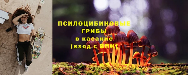 меф Корсаков