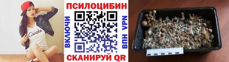 Купить закладки  Зарайск  Галлюциногенные грибы Cubensis 